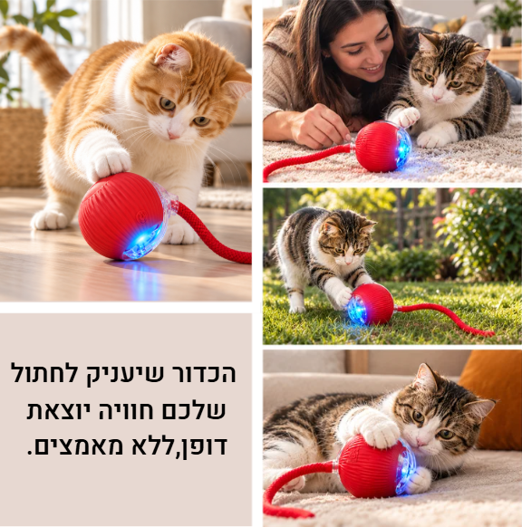 ™Zommy ball-כדור משחק ממכר לחתולים
