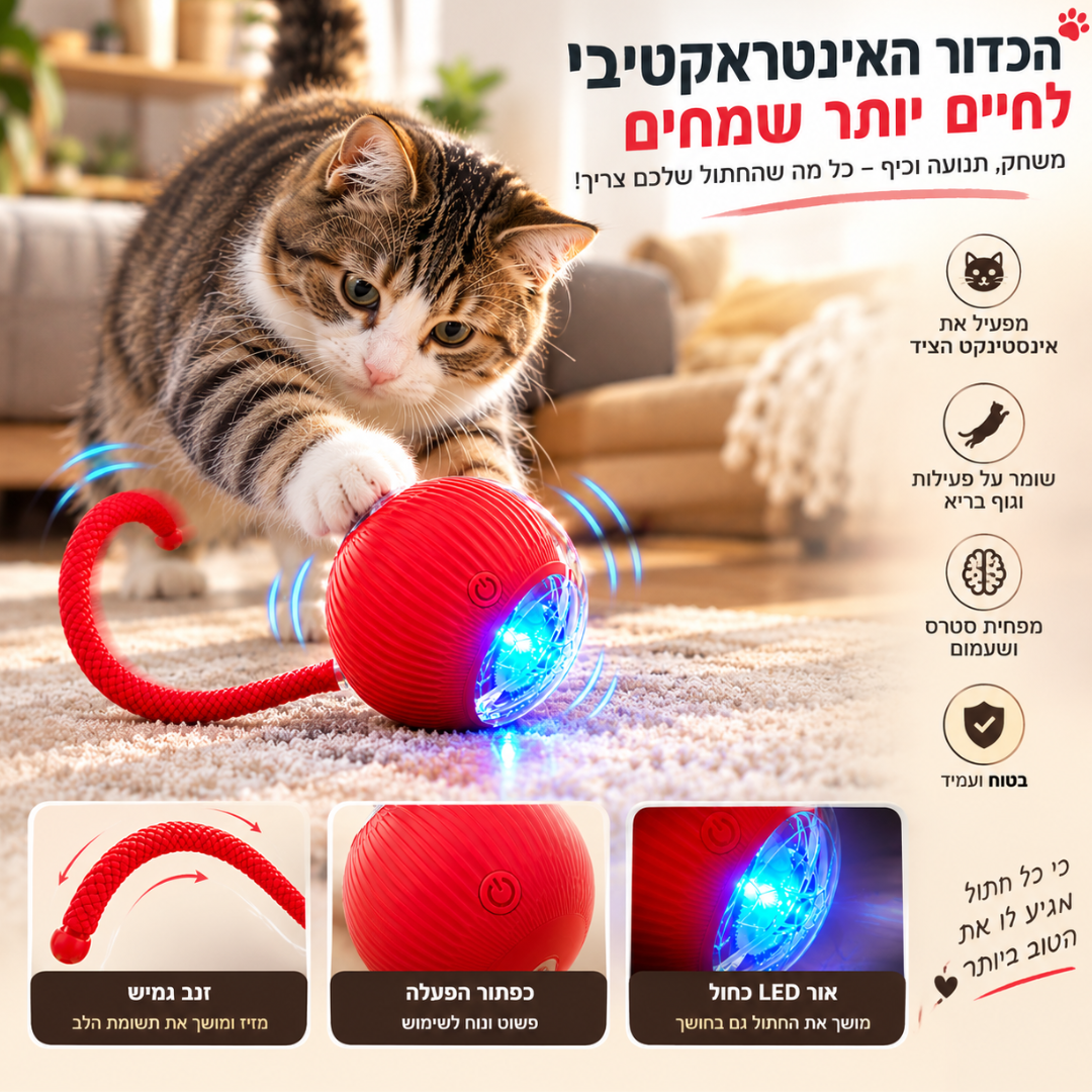 ™Zommy ball-כדור משחק ממכר לחתולים