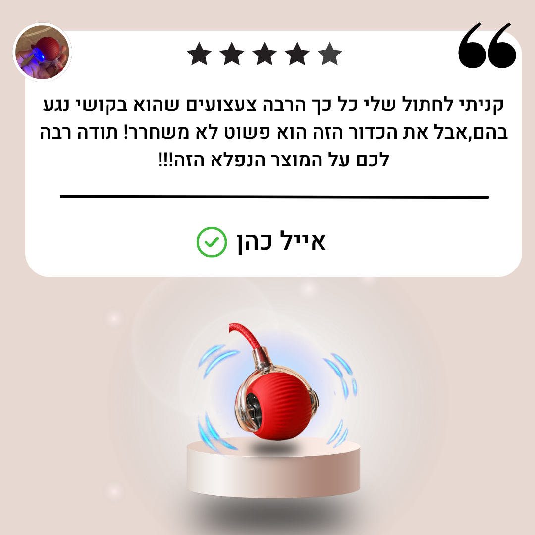 ™Zommy ball-כדור משחק ממכר לחתולים