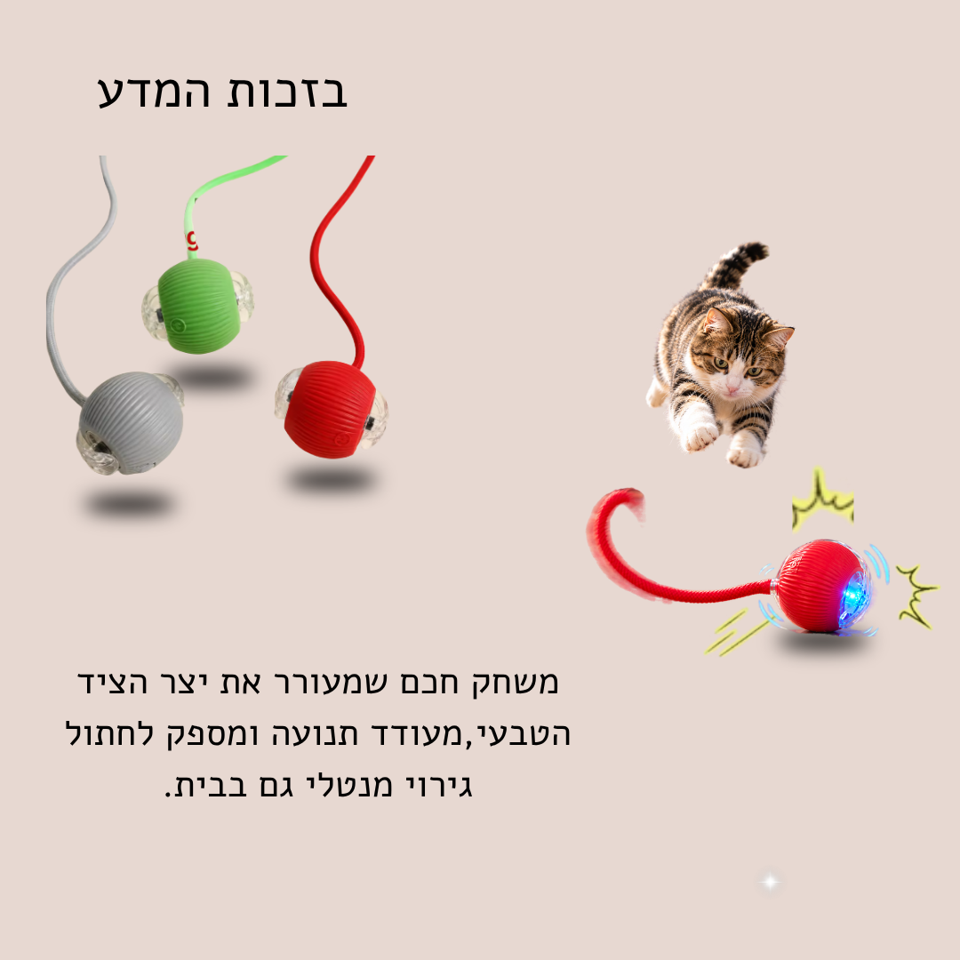 ™Zommy ball-כדור משחק ממכר לחתולים